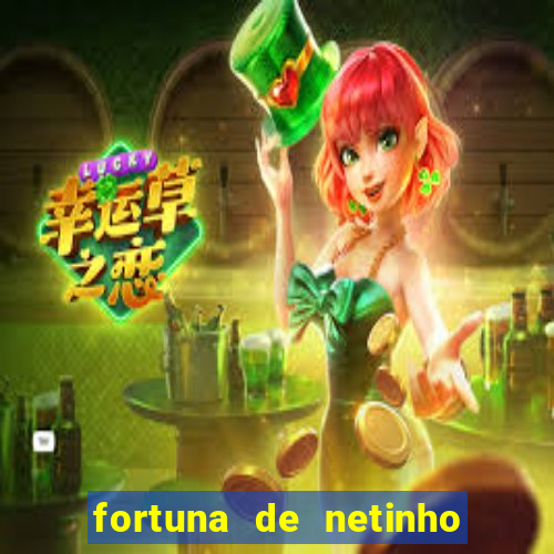 fortuna de netinho de paula